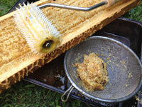 Honey Uncapping Extracting Roller