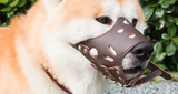 Adjustable Leather Dog Muzzle (Size Large)