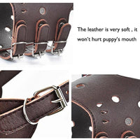 Adjustable Leather Dog Muzzle (Size S)