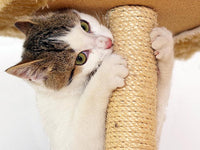 Cat scratching Post / Cat Tower / Cat Tree (Coffee Brown)