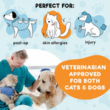 Protective Inflatable Collar for Dogs and Cats - Large