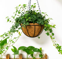 Flower Planter Wall Hanging Basket