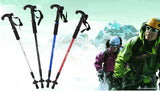 Trekking Walking Stick Pole (T grip)(Blue)