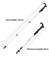 Trekking Walking Stick Pole (T grip)(Silver)